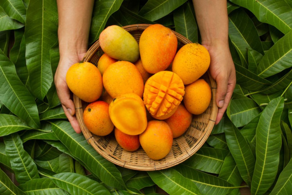 Mango - Fructul Fericirii